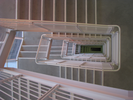p50.jpg