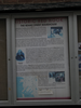 p53.jpg