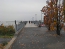 p61.jpg