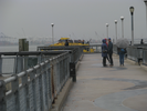 p63.jpg