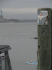 p71.jpg