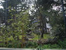 p025.jpg
