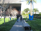 p098.jpg