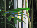 p106.jpg