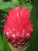 p150.jpg