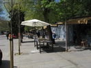 p056.jpg