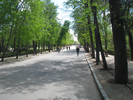 p077.jpg