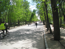p078.jpg