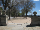 p55.jpg