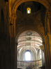 p53.jpg