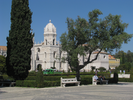 p39.jpg