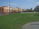 p002.jpg