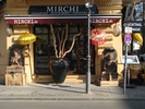 p099.jpg