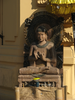 p102.jpg