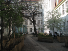 p120.jpg