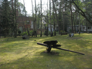 p19.jpg