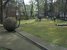 p21.jpg