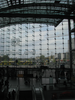 p53.jpg