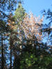 p02.jpg