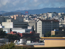 p129.jpg