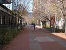 p029.jpg