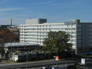p125.jpg