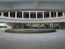 p493.jpg