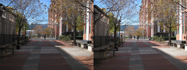 r025.jpg