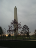 p173.jpg