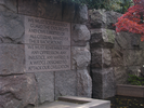 p245.jpg