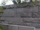 p260.jpg