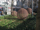 p162.jpg