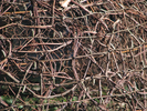 p164.jpg