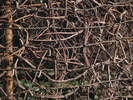 p165.jpg