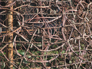 p166.jpg