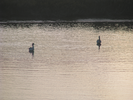 p52.jpg