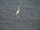 p67.jpg