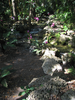 p040.jpg