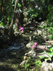p045.jpg