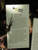 p206.jpg