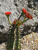 p286.jpg