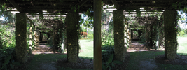 r295.jpg