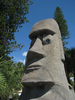 p56.jpg