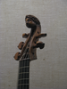 p19.jpg