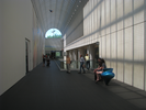 p53.jpg