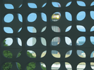 p55.jpg