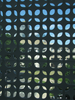 p61.jpg