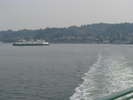 p006.jpg