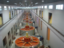 p43.jpg