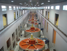 p44.jpg